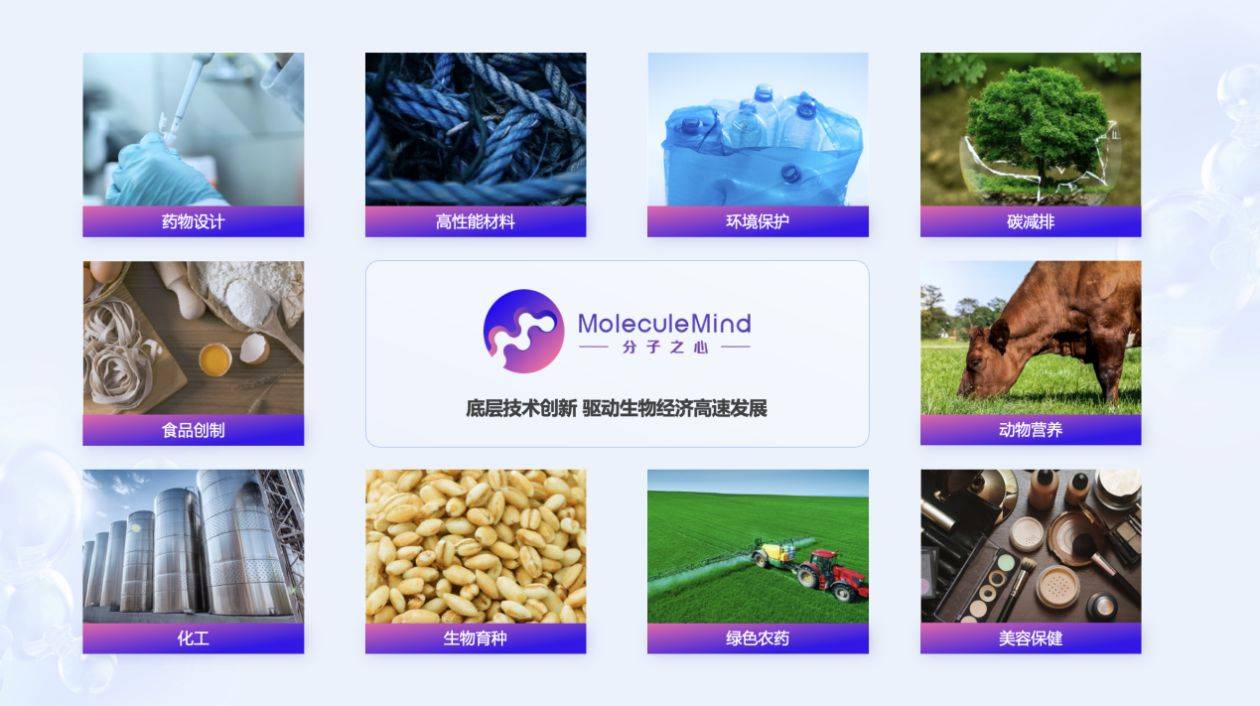 分子之心 AI大模型驱动蛋白质创造与碳减排技术革新